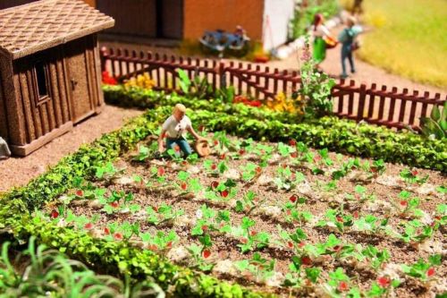 H0 Erdbeeren - 48 Pflanzen - Laser Cut Minis