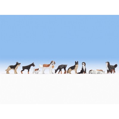 N Hunde 