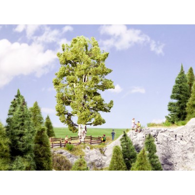 0/H0 Doppelst. Birke 19cm 