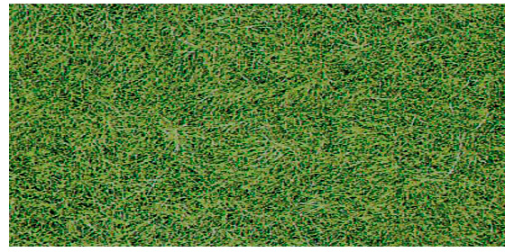 2 Wildgrasm.Wiesengr.40x25 cm 