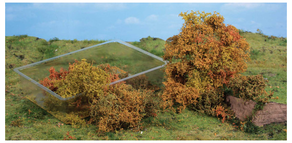 20 Blaetterbuesche herbstlich 