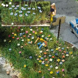 Sommerblumen 