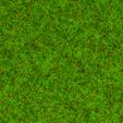 Streugras Frühlingsw., 1,5mm 